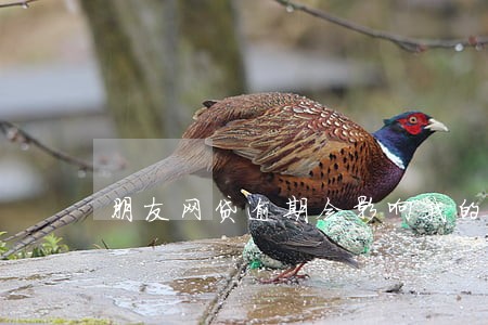 朋友网贷逾期会影响我的信用吗 朋友网贷逾期会影响我的信用吗