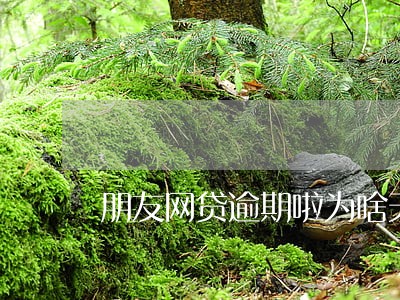 朋友网贷逾期啦为啥天天打我电话 朋友网贷逾期啦为啥天天打我电话