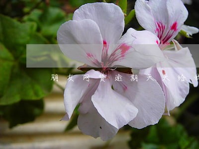 朋友网贷逾期天天给我打电话 朋友网贷逾期天天给我打电话