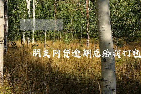 朋友网贷逾期总给我打电话 朋友网贷逾期总给我打电话