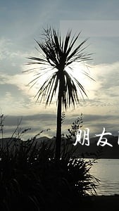 朋友网贷逾期没还挂网做坏账 朋友网贷逾期没还挂网做坏账