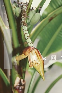 朋友网贷逾期说冻结我的财产 朋友网贷逾期说冻结我的财产
