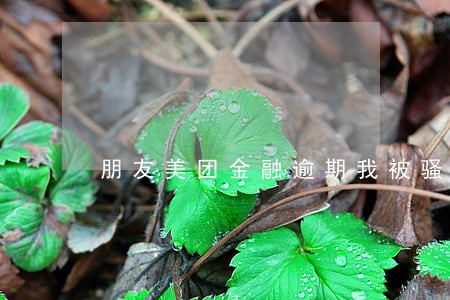 朋友美团金融逾期我被骚扰 朋友美团金融逾期我被骚扰