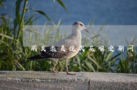 朋友老是说欠花呗逾期问我借钱 朋友老是说欠花呗逾期问我借钱