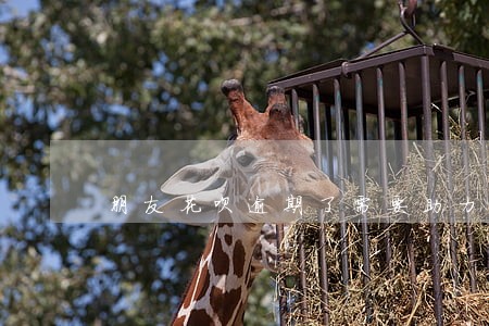 朋友花呗逾期了需要助力有影响吗 朋友花呗逾期了需要助力有影响吗