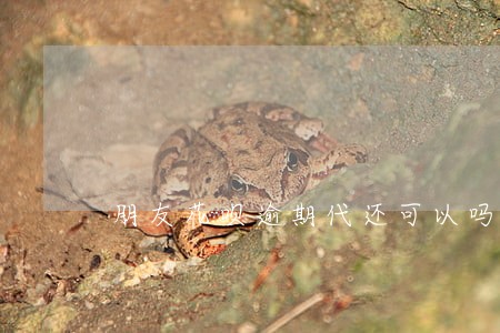 朋友花呗逾期代还可以吗 朋友花呗逾期代还可以吗