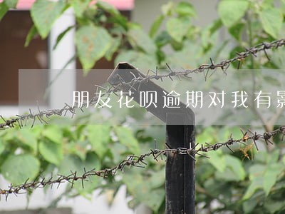 朋友花呗逾期对我有影响吗
