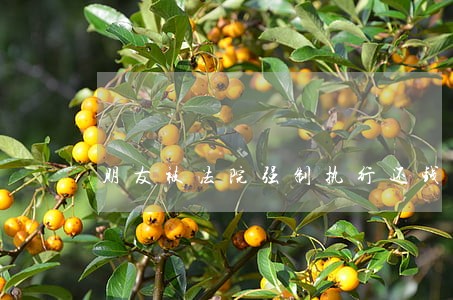 朋友被法院强制执行还钱 朋友被法院强制执行还钱