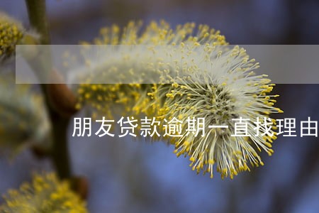 朋友贷款逾期一直找理由
