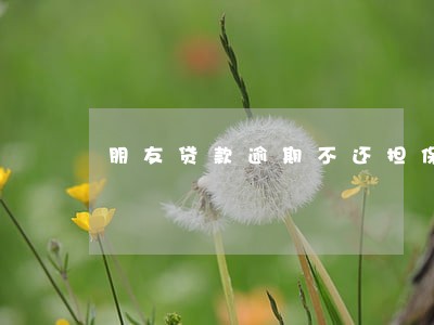 朋友贷款逾期不还担保人 朋友贷款逾期不还担保人
