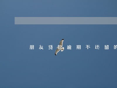 朋友贷款逾期不还留的我的号码 朋友贷款逾期不还留的我的号码