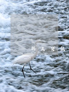 朋友贷款逾期了留了我号码 朋友贷款逾期了留了我号码