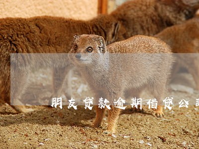 朋友贷款逾期借贷公司打电话