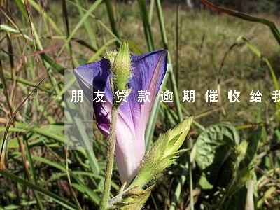 朋友贷款逾期催收给我打电话 朋友贷款逾期催收给我打电话