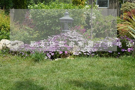 朋友贷款逾期留了我电话 朋友贷款逾期留了我电话