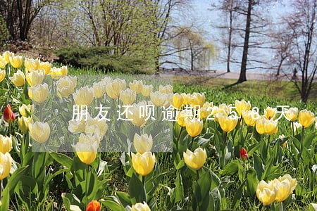 朋友还呗逾期258天 朋友还呗逾期258天