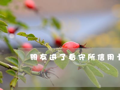 朋友进了看守所信用卡花呗逾期 朋友进了看守所信用卡花呗逾期