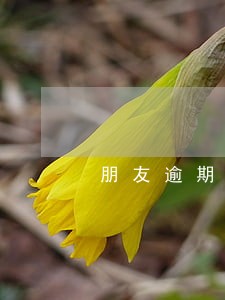 朋友逾期为什么会关系到自己 朋友逾期为什么会关系到自己