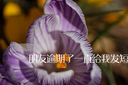 朋友逾期了一直给我发短信 朋友逾期了一直给我发短信