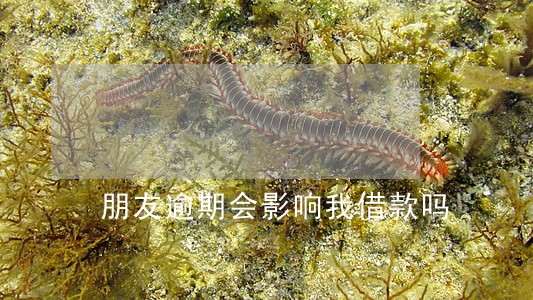 朋友逾期会影响我借款吗 朋友逾期会影响我借款吗