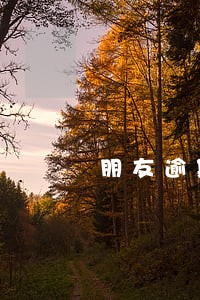 朋友逾期可以抵押房屋吗