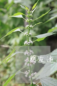朋友逾期天天打电话给我 朋友逾期天天打电话给我