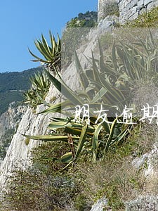 朋友逾期对我有什么影响 朋友逾期对我有什么影响