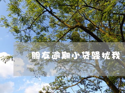 朋友逾期小贷骚扰我