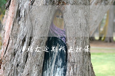 朋友逾期我去担保 朋友逾期我去担保