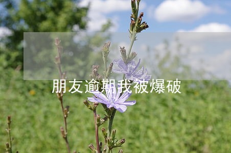 朋友逾期我被爆破 朋友逾期我被爆破