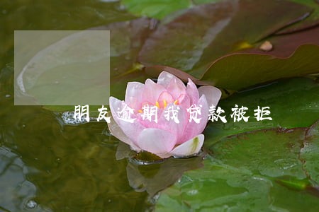 朋友逾期我贷款被拒 朋友逾期我贷款被拒