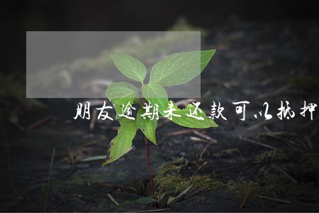 朋友逾期未还款可以抵押房产吗 朋友逾期未还款可以抵押房产吗