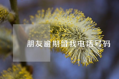 朋友逾期留我电话号码 朋友逾期留我电话号码