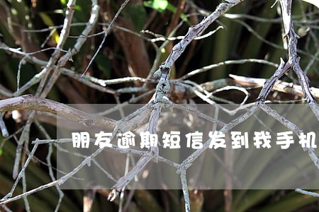 朋友逾期短信发到我手机上 朋友逾期短信发到我手机上