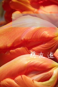 朋友逾期索要芝麻粒 朋友逾期索要芝麻粒