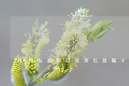 朋友逾期给我发信息属于骚扰吗 朋友逾期给我发信息属于骚扰吗