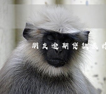 朋友逾期贷款轰炸我的手机 朋友逾期贷款轰炸我的手机