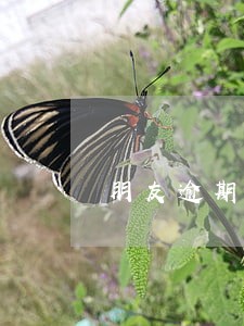 朋友逾期轰炸我通讯录 朋友逾期轰炸我通讯录