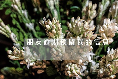朋友逾期预留我的信息 朋友逾期预留我的信息