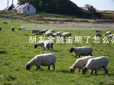 朋友金融逾期了怎么办 朋友金融逾期了怎么办