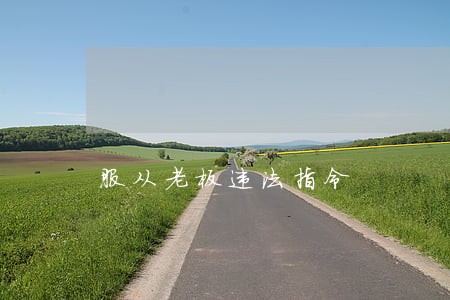 服从老板违法指令 服从老板违法指令