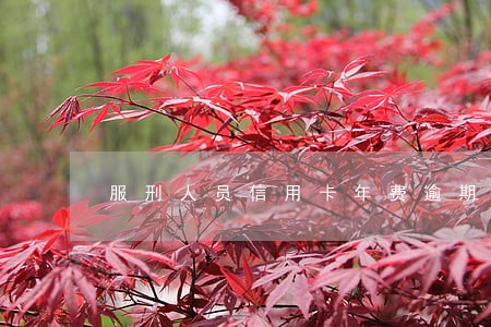服刑人员信用卡年费逾期怎么办 服刑人员信用卡年费逾期怎么办