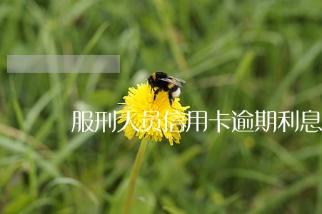 服刑人员信用卡逾期利息 服刑人员信用卡逾期利息