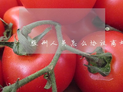 服刑人员怎么协议离婚 服刑人员怎么协议离婚