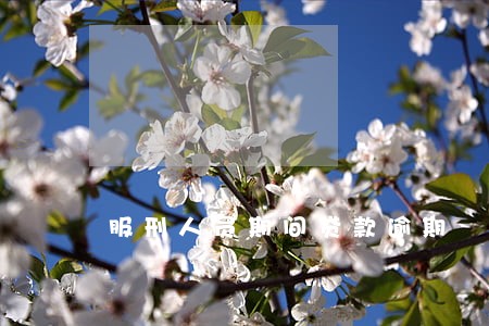 服刑人员期间贷款逾期 服刑人员期间贷款逾期