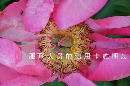 服刑人员的信用卡逾期怎么办 服刑人员的信用卡逾期怎么办