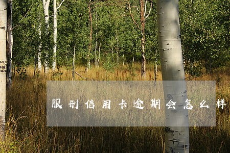 服刑信用卡逾期会怎么样 服刑信用卡逾期会怎么样