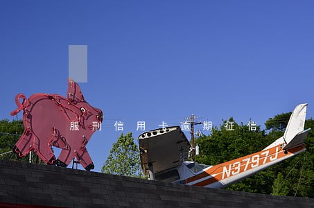 服刑信用卡逾期征信 服刑信用卡逾期征信