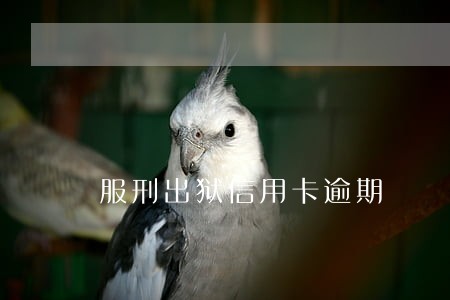 服刑出狱信用卡逾期 服刑出狱信用卡逾期