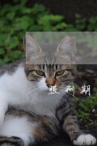 服刑期间信用卡逾期会加刑吗 服刑期间信用卡逾期会加刑吗